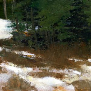 Snow and Shrubs, 11x15 inches, oil on panel, 2019 -SOLD