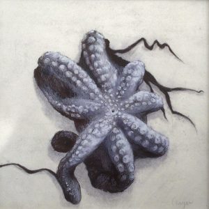Pulpo, 8x8 inches, mixed media on paper, 2021, -SOLD